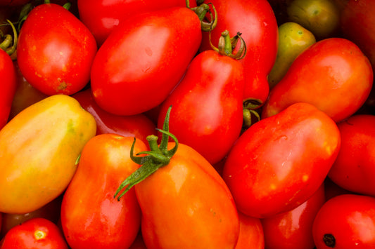 Roma Tomato Plant – Classic Flavor, Perfect for Sauces & Everyday Cooking