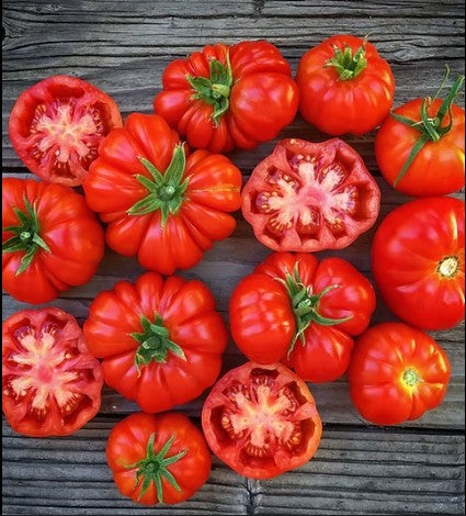Tomato Growing Service – Charlotte Area Only